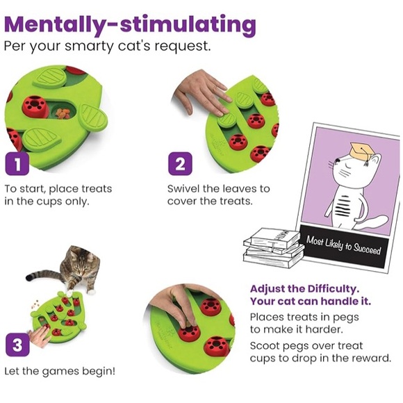 Mentally Stimulating Cat Toy - Picture 3 of 3